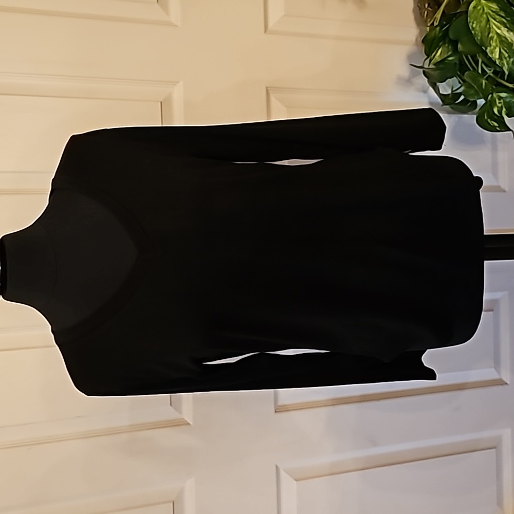 Long sleeve V neck top.